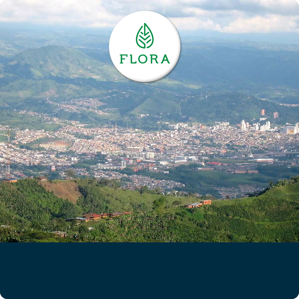 flora-apartamentos-pereira-destacado